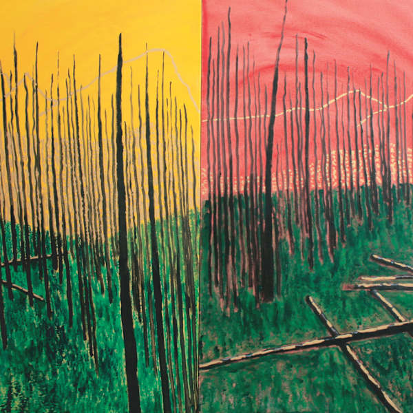 Dark Forest by Pedro Lujan (RAiR 1981-82), Image 1.
