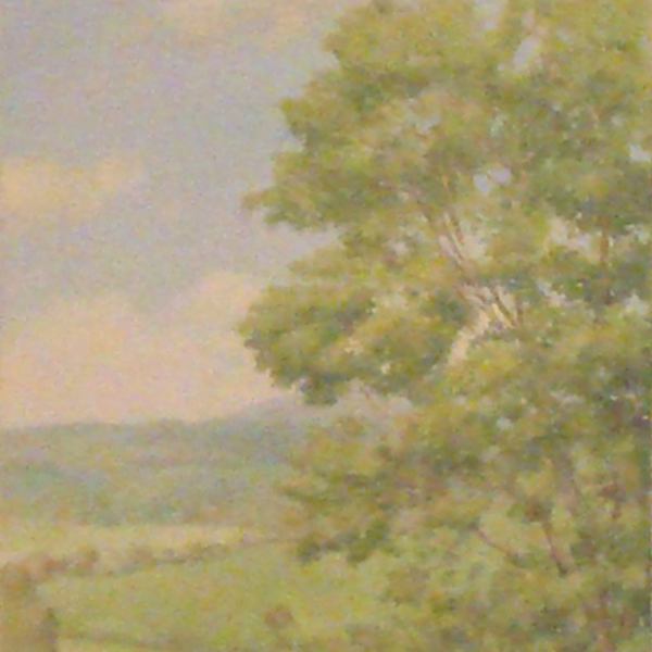 Crack (on loan from Sally Midgette Anderson) by Willard Midgette (RAiR 1970-71), Image 1.