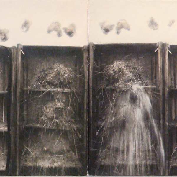 Natural Progression by Robert & Shana ParkeHarrison (RAiR 1994-95), Image 1.