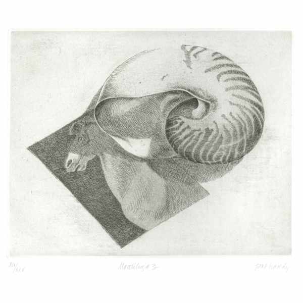Nautilus #3 by Pat Hardy, Image 1.