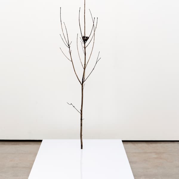 Only Tree (With Nest) by Emily Arthur, Image 1.