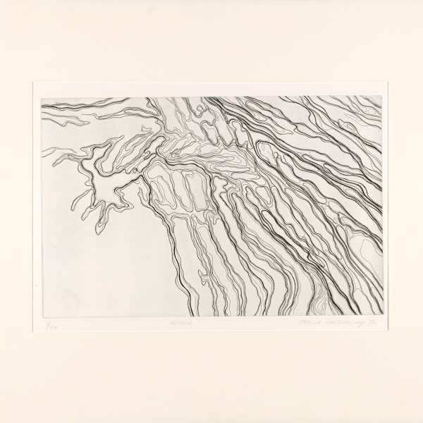 Untitled by Sheigla Hartman, Image 2.