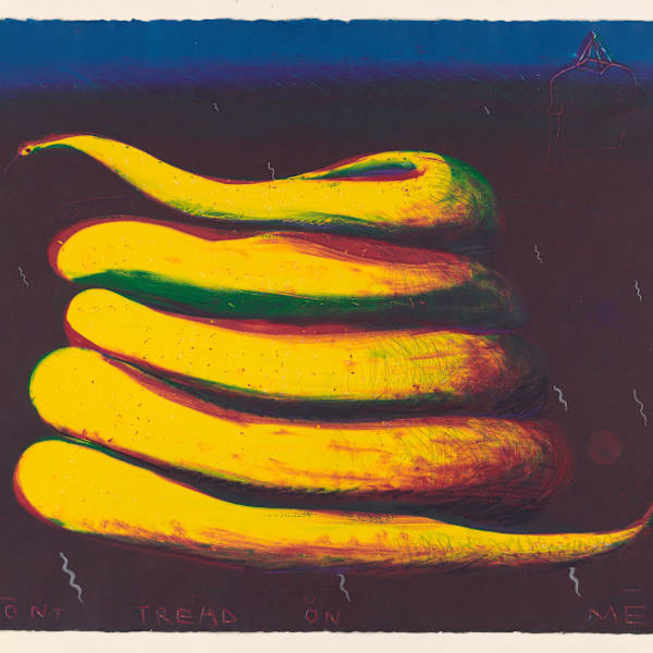Don't Tread on Me by David R.L. Anderson, Image 2.