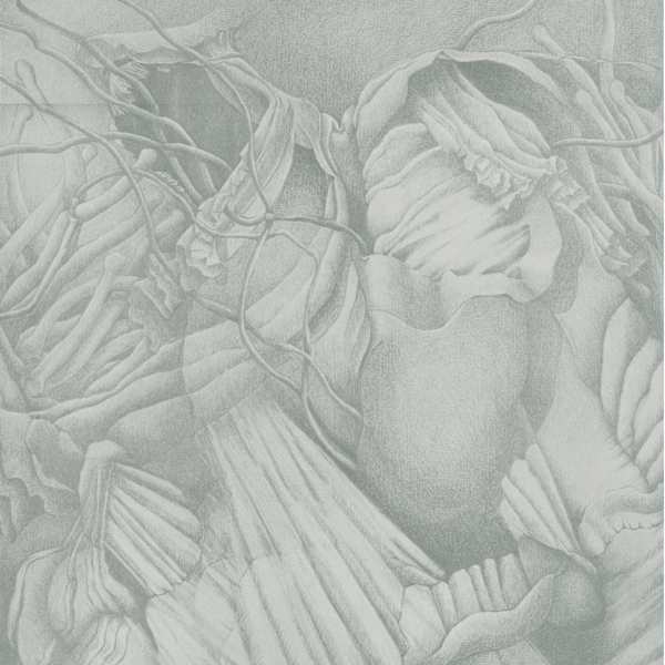 Bay Colony Secrets by Keith Hatcher, Image 1.