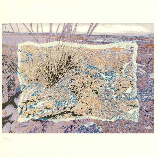 Near Almagordo by Todd Walker, Image 2.