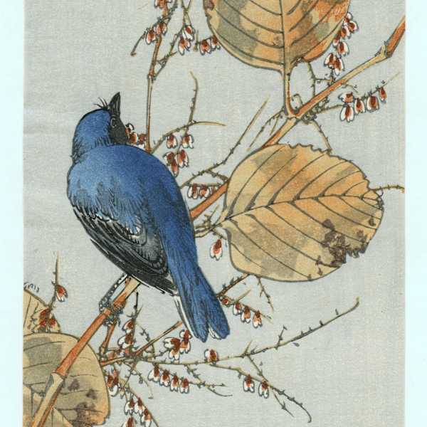 Untitled by Gyosui Kawanabe, Image 2.