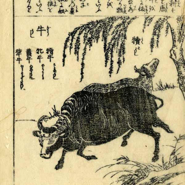 Two Bullocks by Shinsui, Image 2.