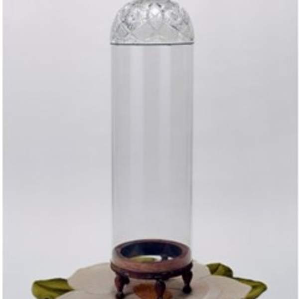 Steel Magnolia by Carol Cole Levin, Image 1.