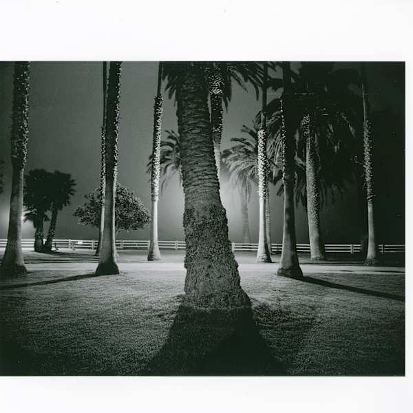 Palisades Park, Santa Monica 1975 by Robert von Sternberg, Image 2.
