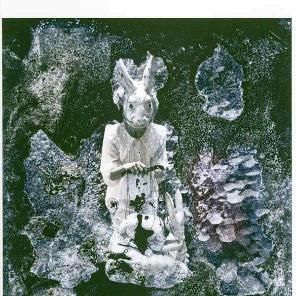 Rabbit by Melanie Walker, Image 2.