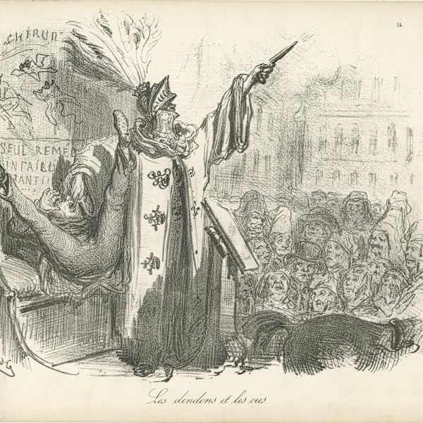 Les Dindons et les Oies by Gustave Doré, Image 2.