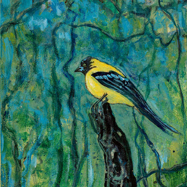Audubon's Oriole by George Douglas Lee, Image 1.