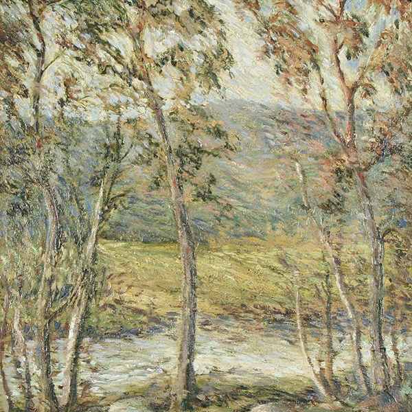 “Cedar Creek, Adirondacks” by Paul King, Image 1.