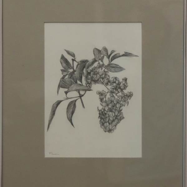 Dogwood by Michelle Farrar, Image 1.