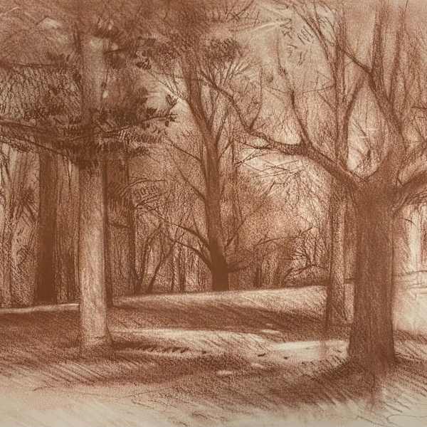 Campers Trees by Richard Terrell, Image 1.