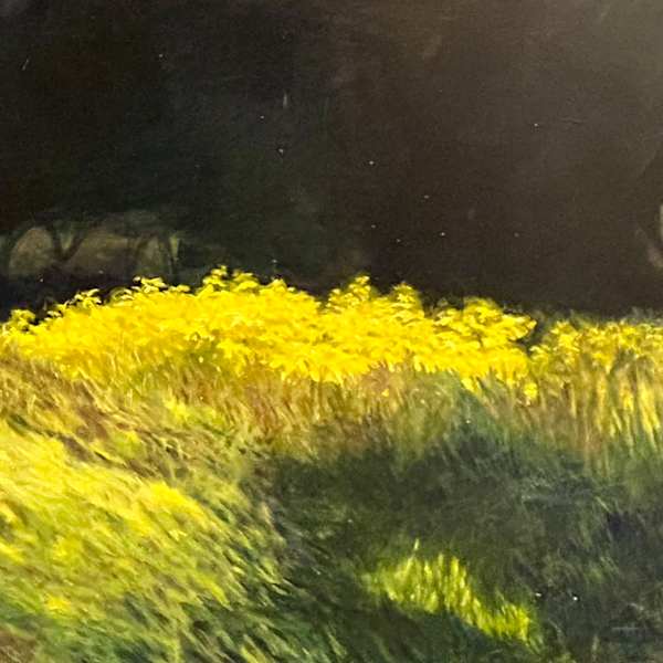 Out of Darkness - Light by Joanne Balcom, Image 1.