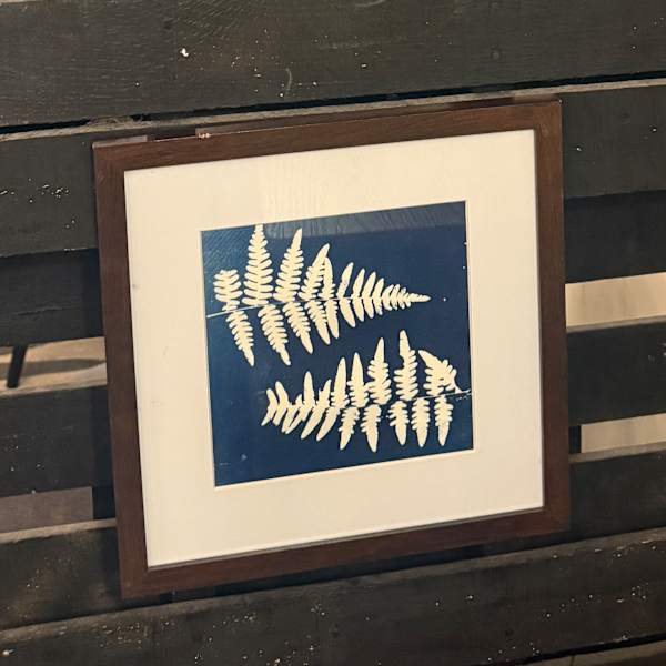 Ferns by Kait Philp, Image 13.