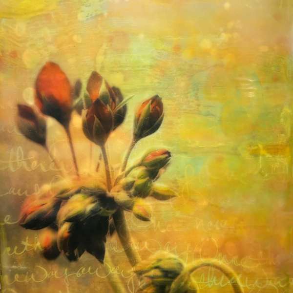 Hopeful by Kristianne Tefft, Image 1.