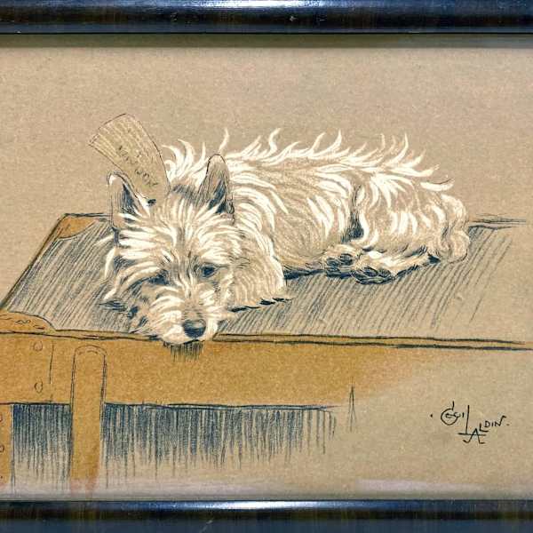 Dog by Cecil Charles WINDSOR ALDIN (1870 - 1935), Image 1.