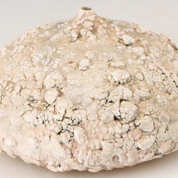 "Lunar Landscape" Pot by Lisa Cecere, Image 4.