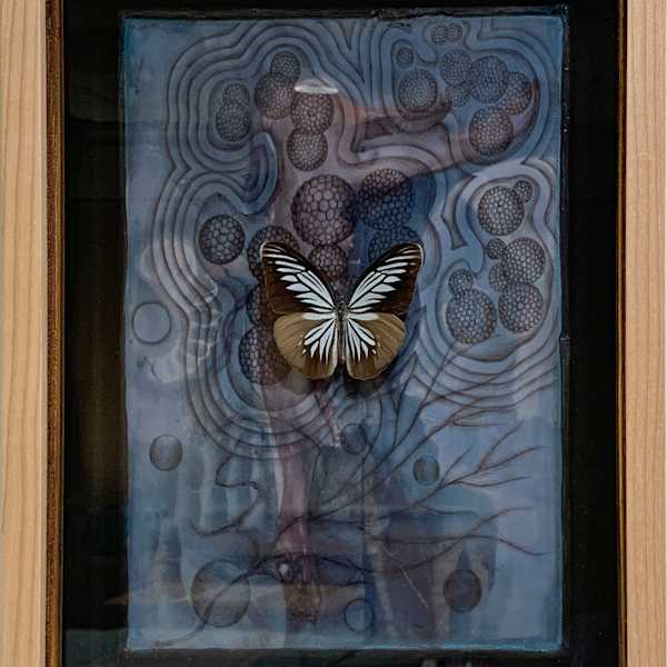 Italy Blue / Red Bone / Single Butterfly by Joy Broom, Image 1.