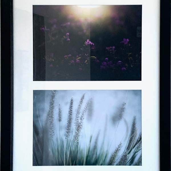 Nevada Indigenous Flora Series by Rachel Bellinsky, Image 3.