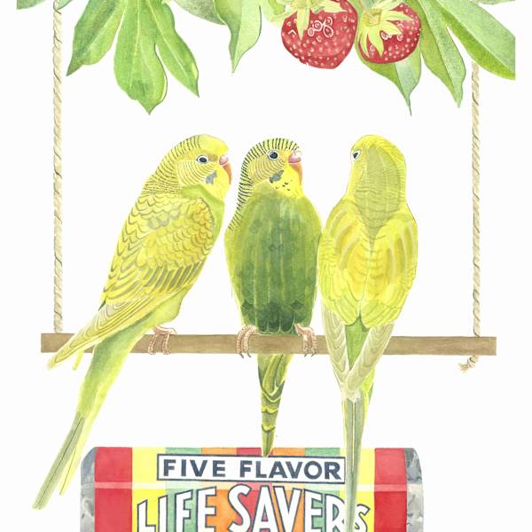 Swinging on Sweets by Jill Adleberg, Image 1.