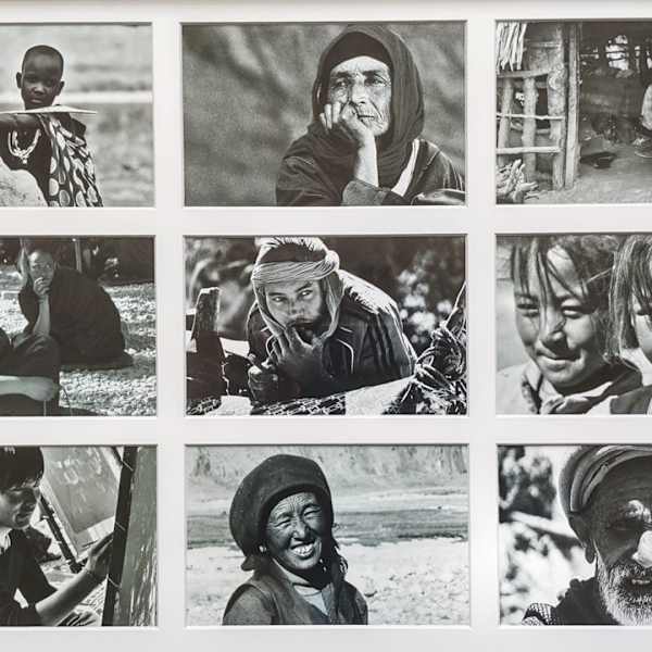Language in Your Eyes by Anne Barrington, Image 1.