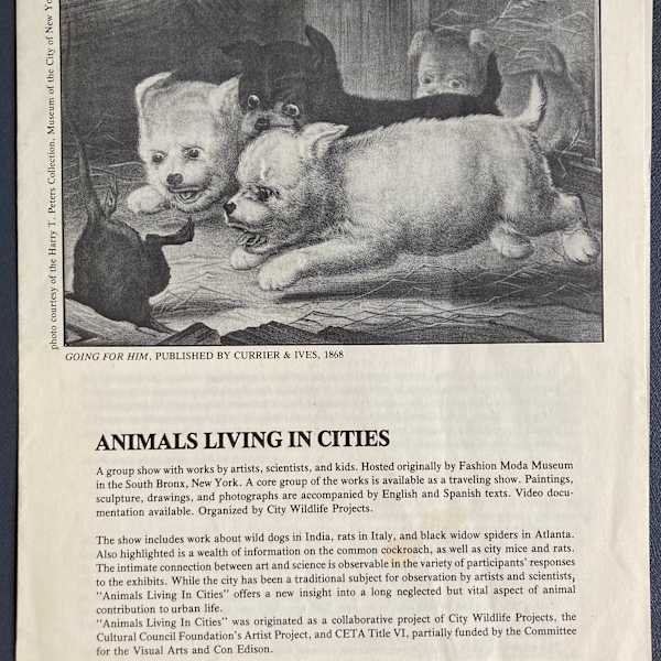 Animals Living In Cities by City Wildlife Projects, Image 1.