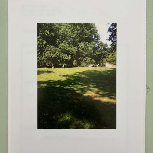 Grass by Alex Katz, Image 1.