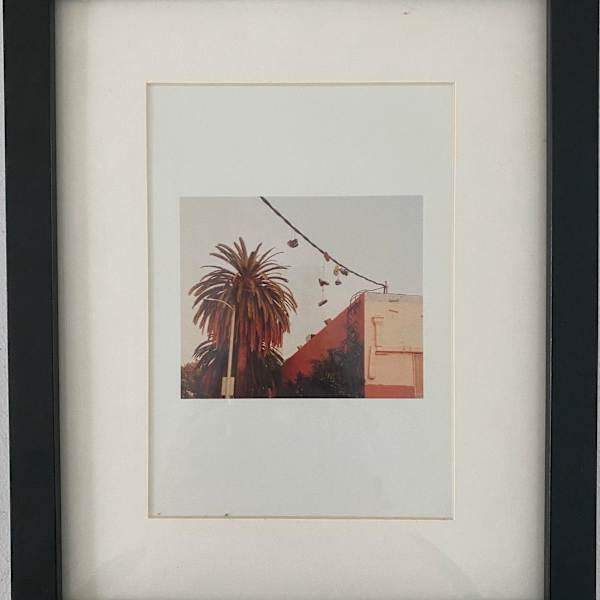 Strung Up and Strung Out in East Hollywood by Eliot Gardepe, Image 2.