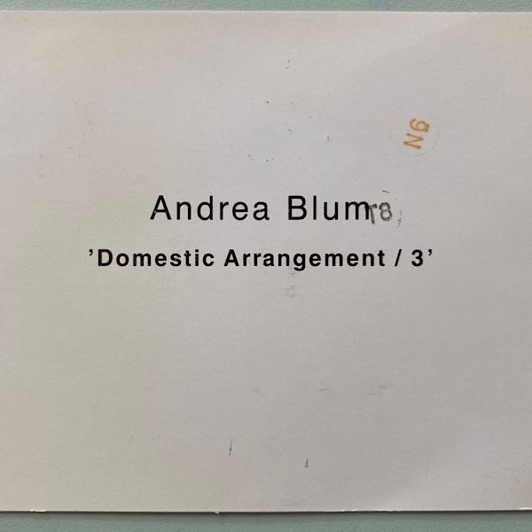 'Domestic Arrangement/3' Lumen Travo by Andrea Blum, Image 1.