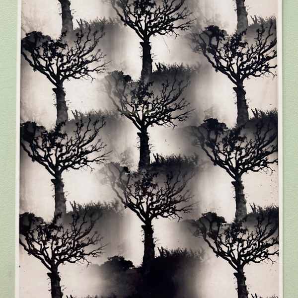 Dying Nature No.1 facsimile by Thomas Kellner, Image 1.