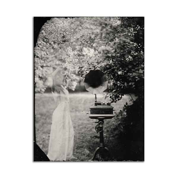 How Strange it is to Dream of You When I am Wide Awake by Paige Whitcomb, Image 2.