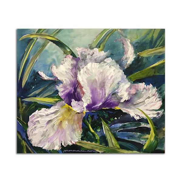 White Iris by Roberto Regalado, Image 2.