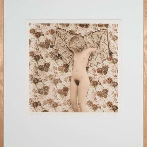 Butterfly by Judith Steinhauser, Image 2.