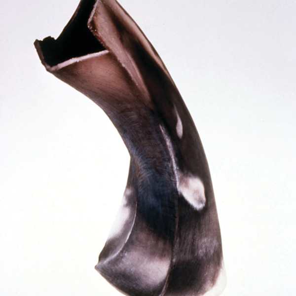 Arc by Sharon H. Campbell, Image 1.