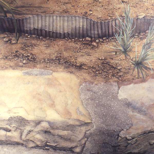Earth Retainers by Christine A. Kierstead, Image 1.