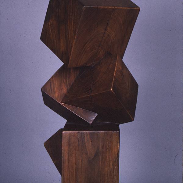 Driftwood from a Square Wave by William Ledyard, Image 1.