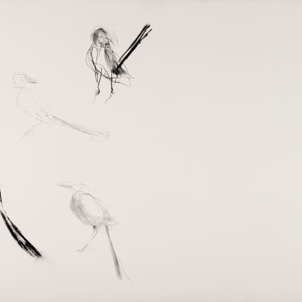 April Mockingbird by Anna Redwine, Image 1.