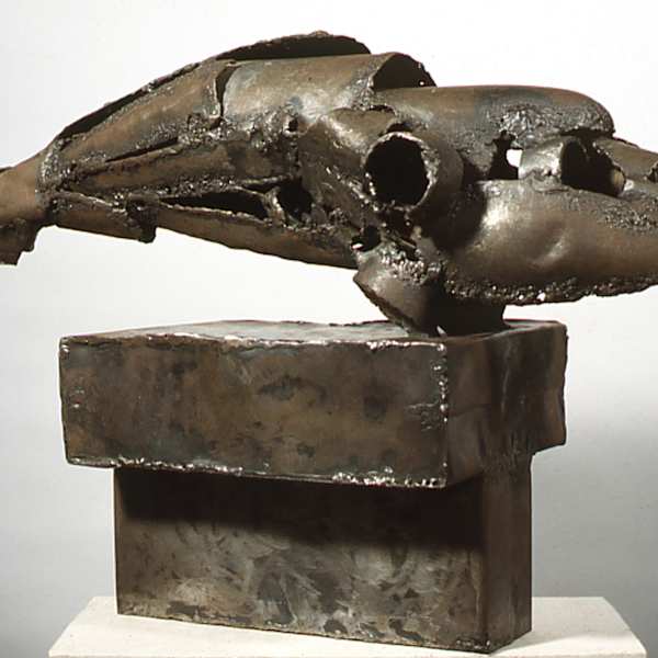 Killer Whale by Arthur Rose, Image 1.