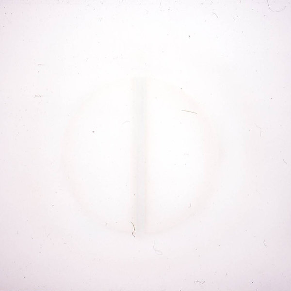 #6 by Carl Smith, Image 1.