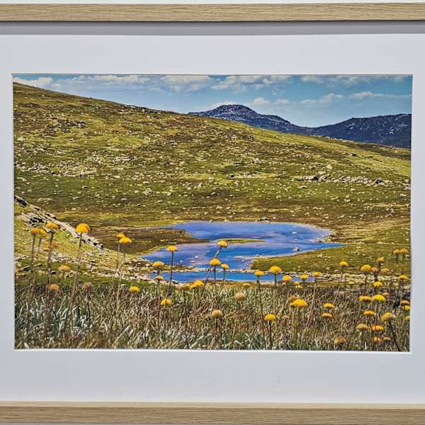 A3 mat Hedley Tarn Summer by Wanda Lach, Image 1.