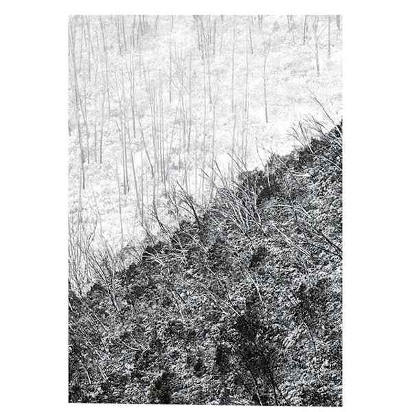 A2 prints in A1 frame by Mandy Lamont, Image 1.