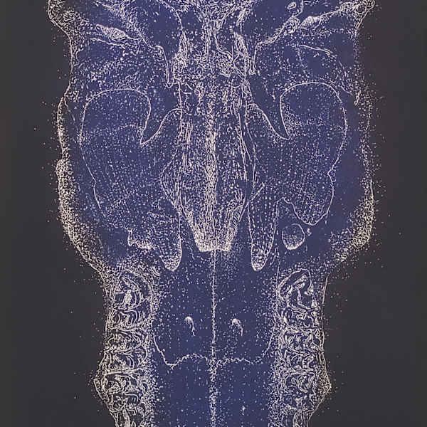 Small Night Skull by Tony Ameneiro, Image 1.