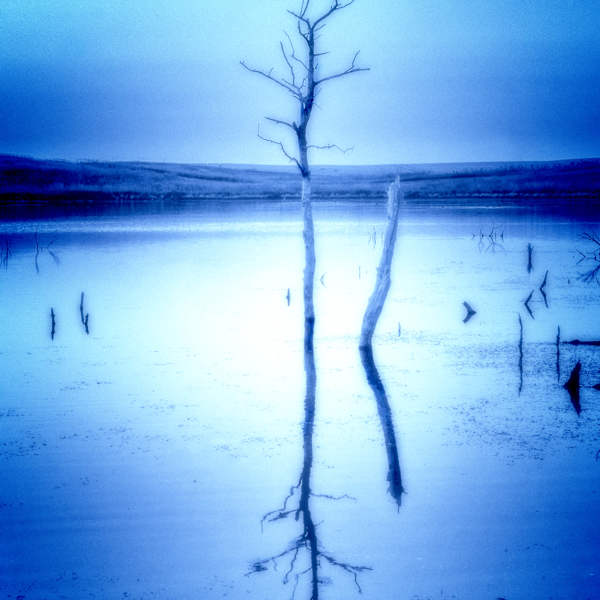 Blue by Brenda Cardiff, Image 1.