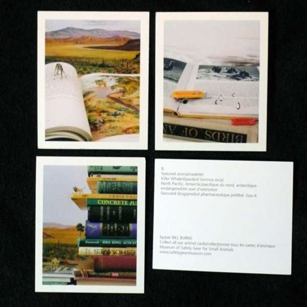 Animal Cards by Bill Burns, Image 1.