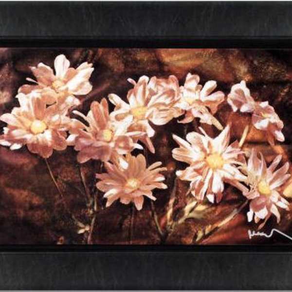 Daisy Splendor by Noah, Image 1.