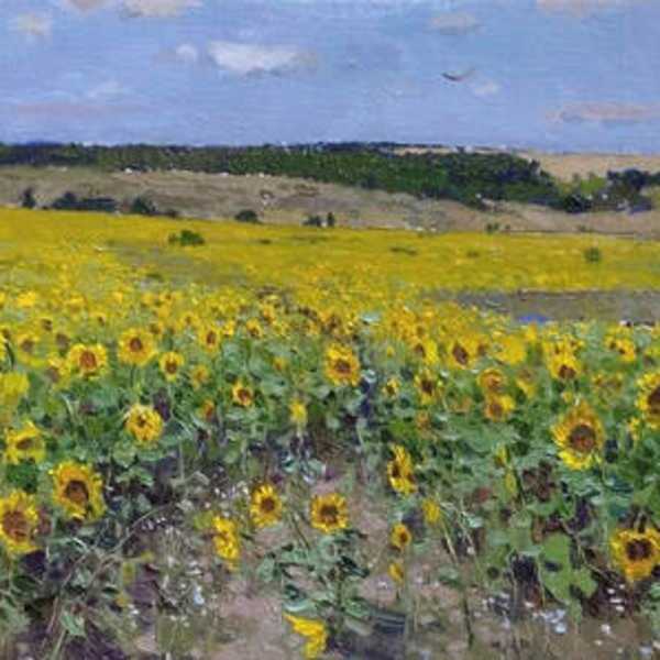 Sunflowers by Andrey Jilov, Image 1.
