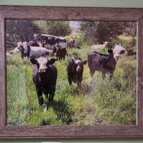 Home on the Range by Linzee Vernon, Image 1.